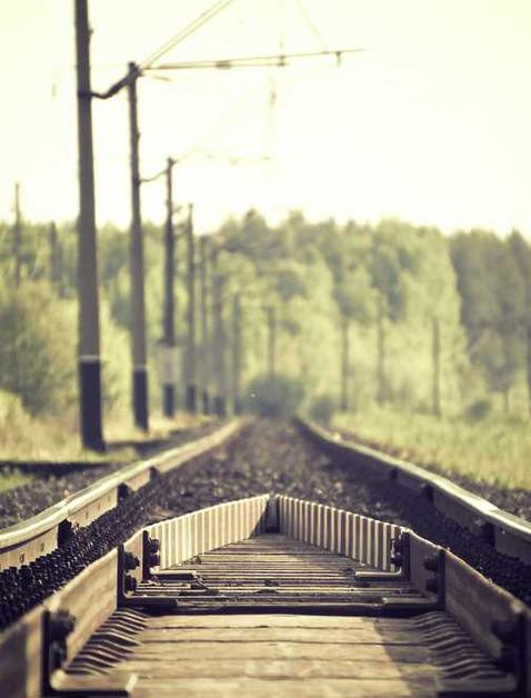 Фото категории
